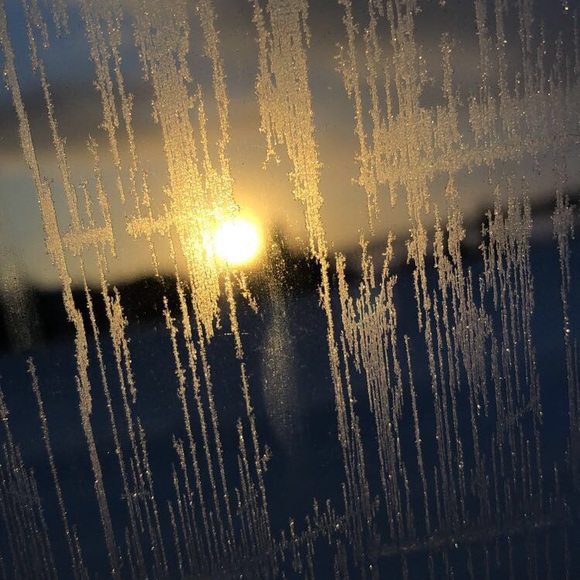 Meet your Posher, Mya - Picture 1 of 1